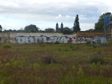 Graffiti Bombing in Magdeburg - Photo by Candyflip - oholikas, oo, ohoh