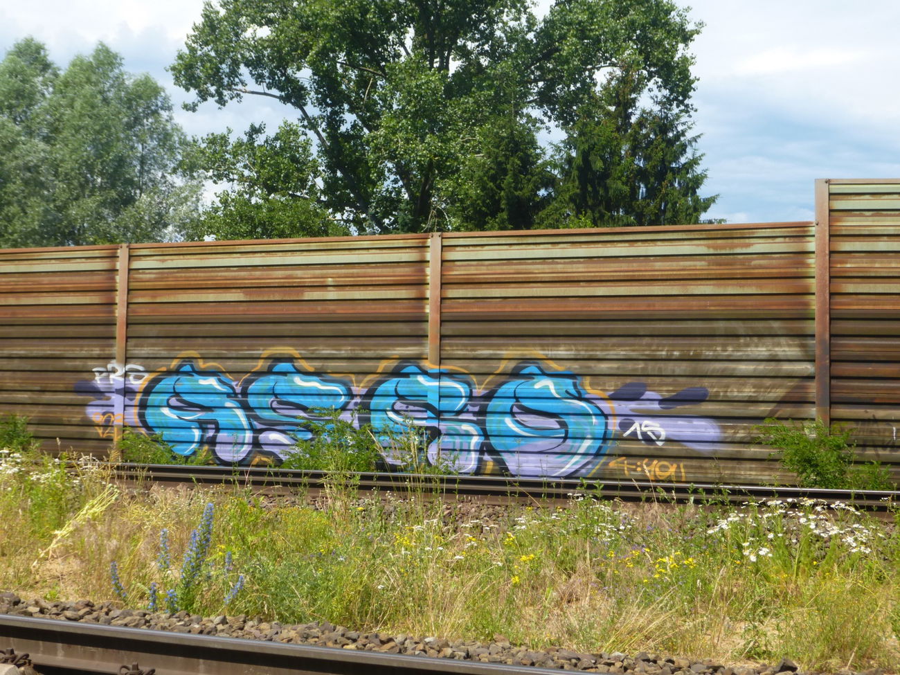Graffiti Bombing in Deutschland - Photo by Candyflip - asco, braunschweig (2015)