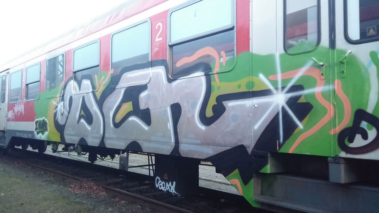 Graffiti Train - Photo by Candyflip - dq, doqs, trasher (2015)