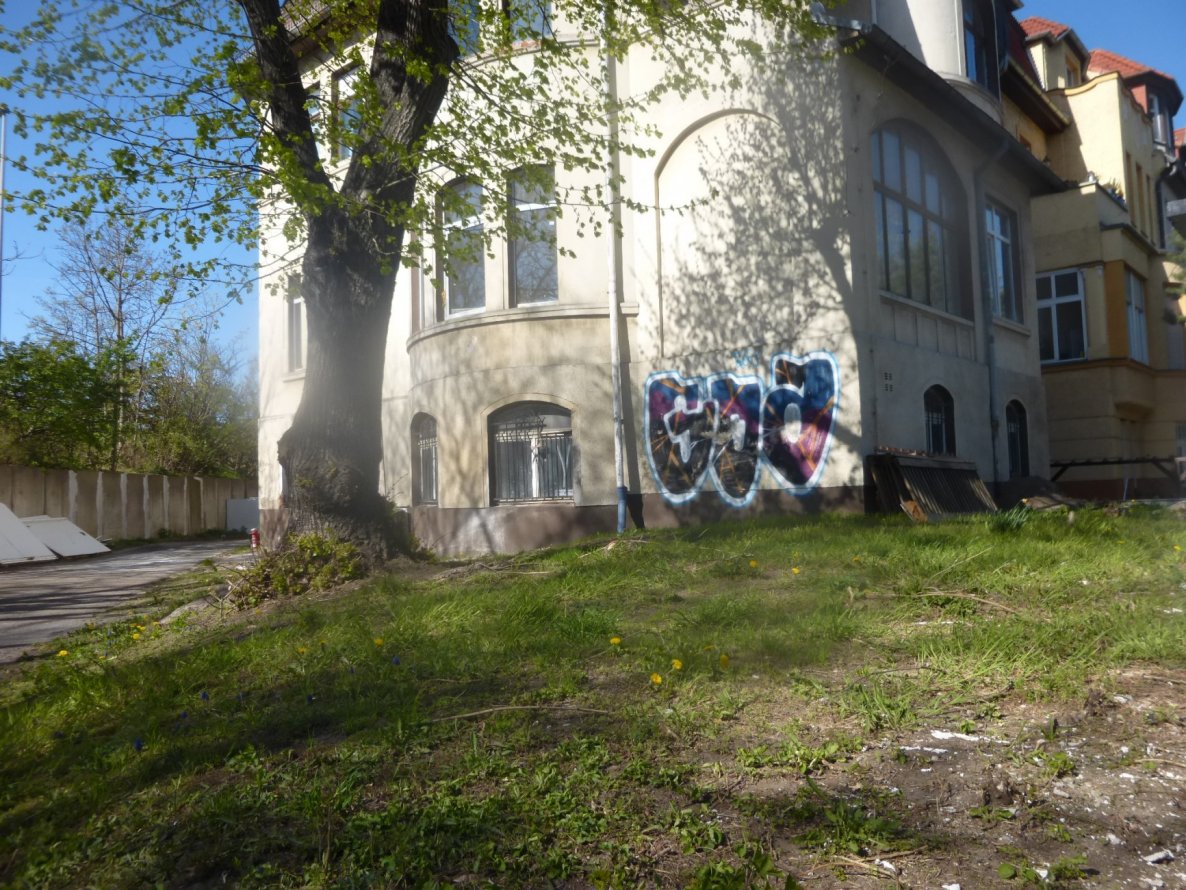 Graffiti Bombing in Magdeburg - Photo by Candyflip - goa, ohoh