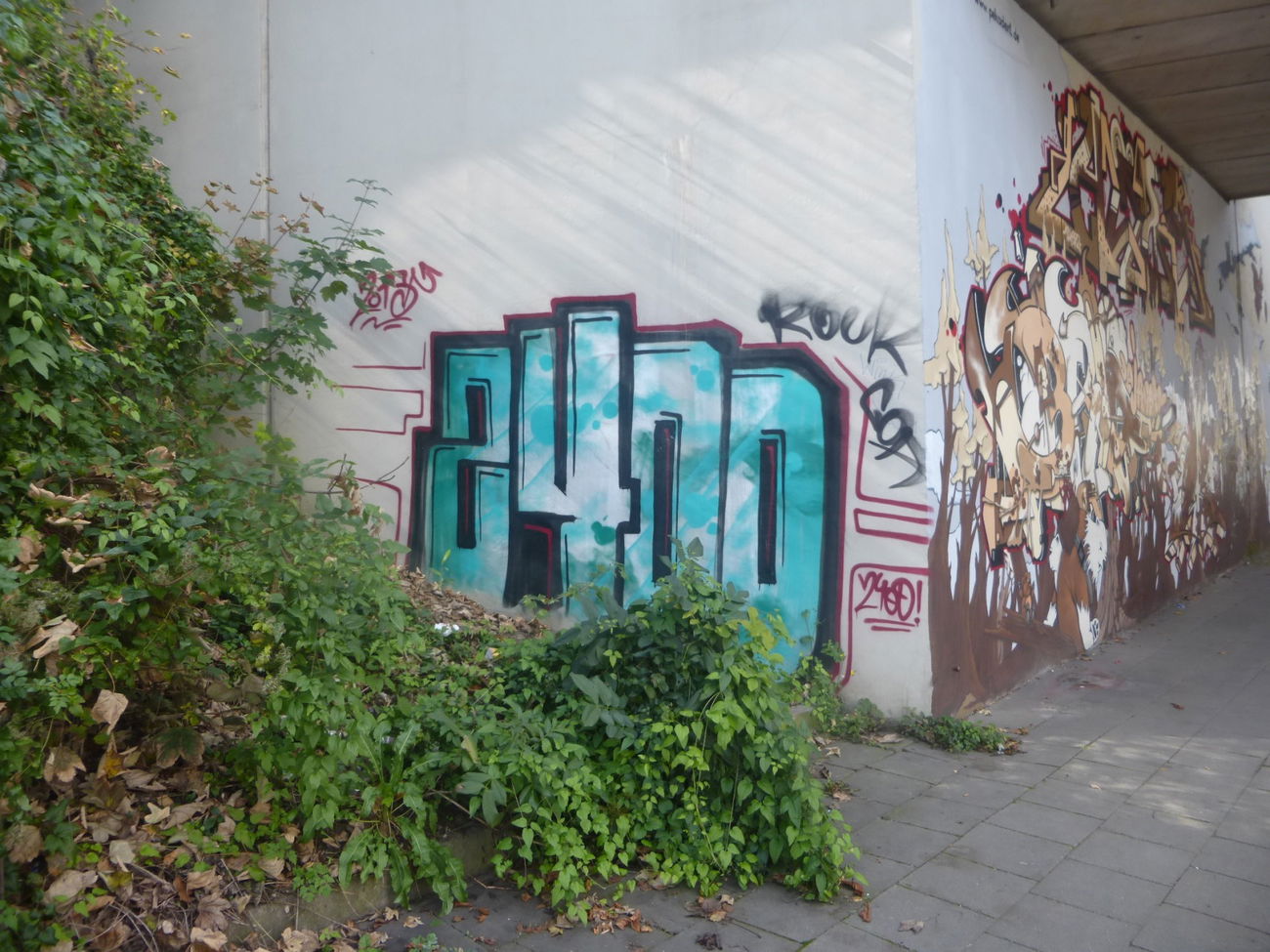 Graffiti Bombing in Magdeburg - Photo by Candyflip - 24, 24er, oo