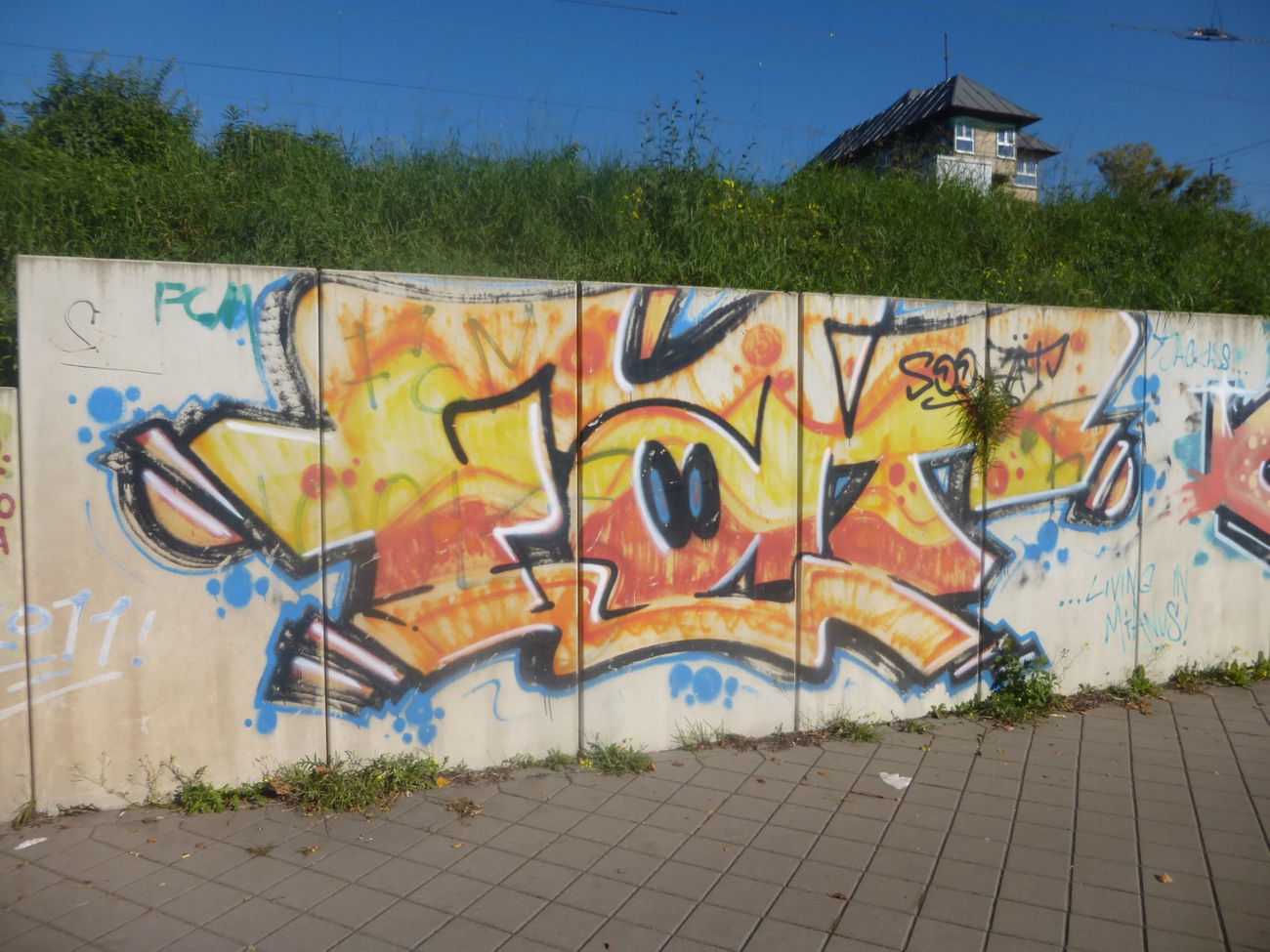 Graffiti Bombing - Photo by Candyflip - fat, oo, ohoh