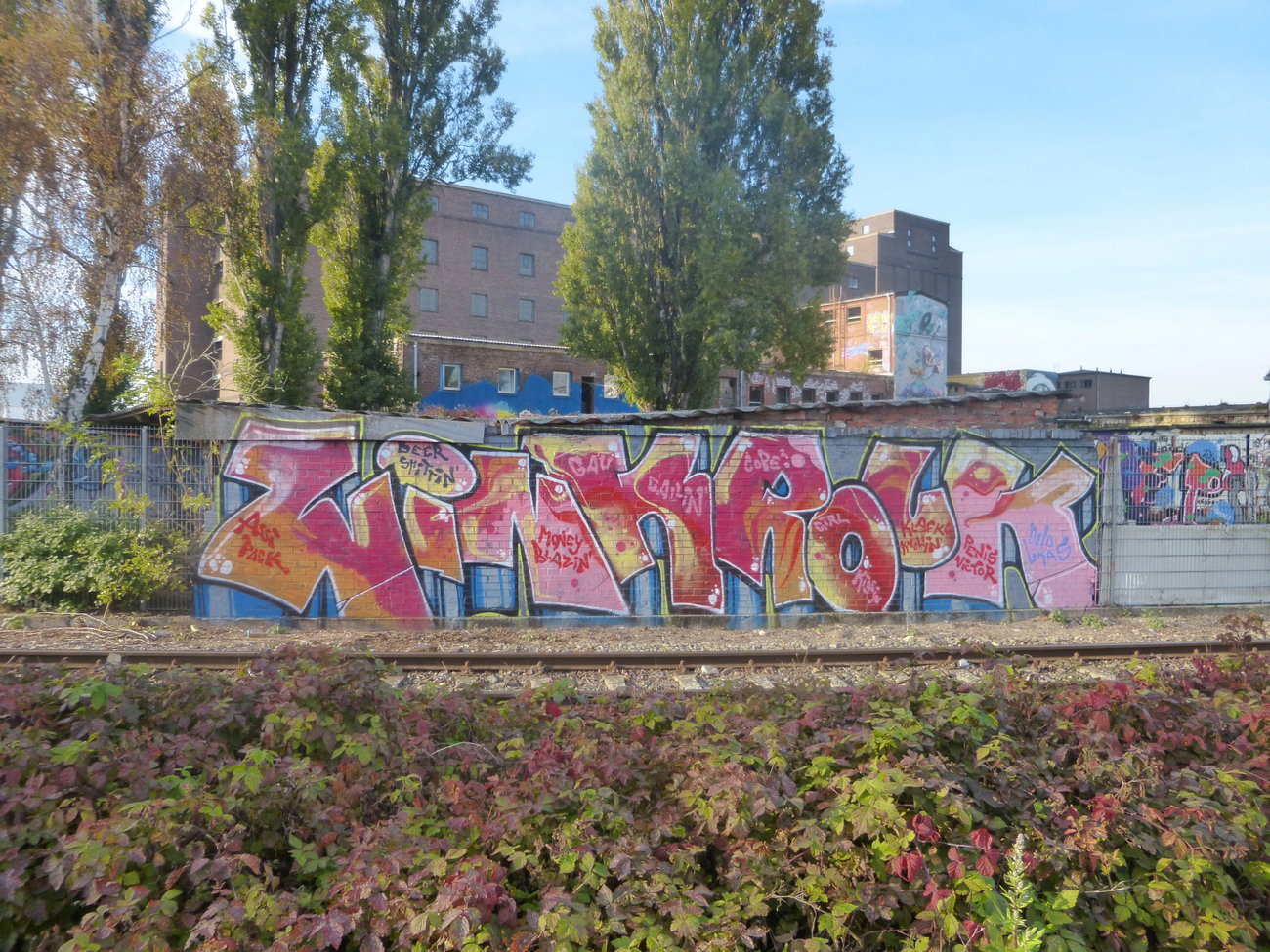 Graffiti Wall in Magdeburg - Photo by Candyflip - wink, rouk, magdeburg