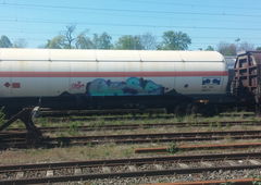 Graffiti Train - Photo by Candyflip