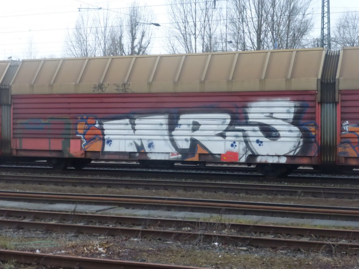 Graffiti Train - Photo by Candyflip - mrs