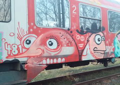 Graffiti Train - Photo by Candyflip - 481, trasher, braunschweig (2015)