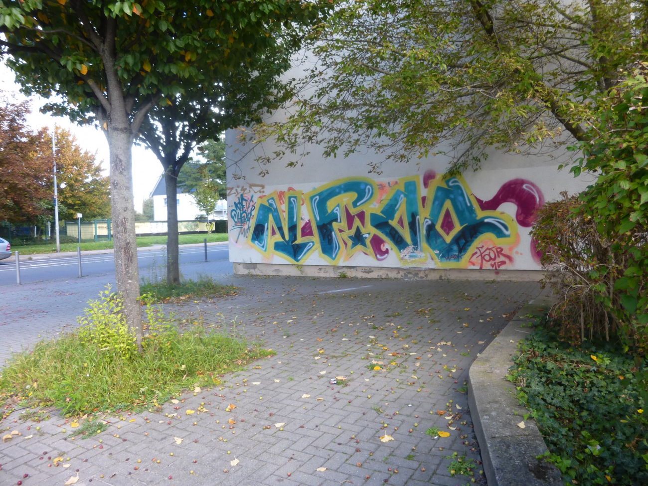 Graffiti Bombing in Magdeburg - Photo by Candyflip - nf, oo, ohoh
