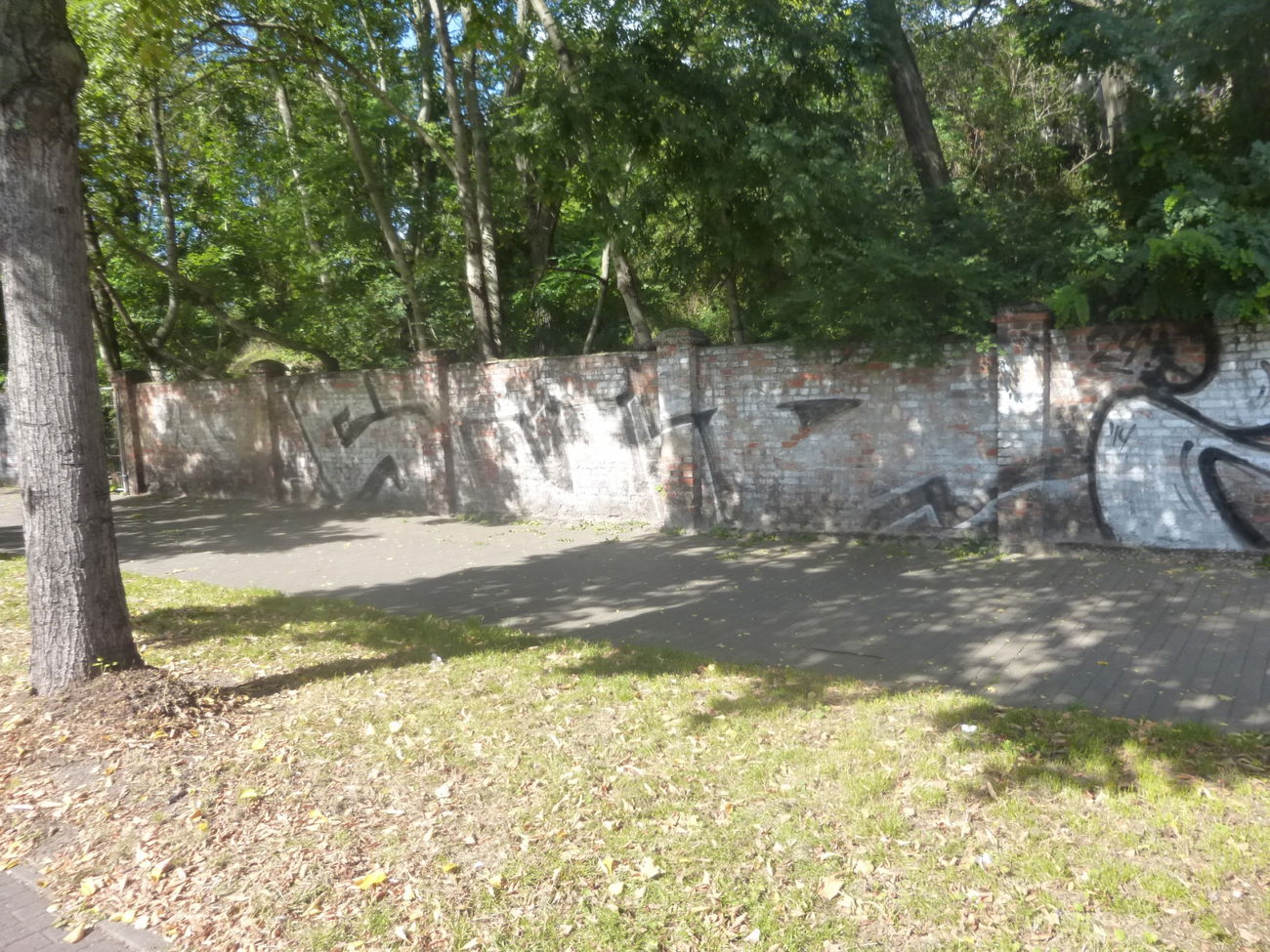 Graffiti Bombing in Magdeburg - Photo by Candyflip - süd, sued