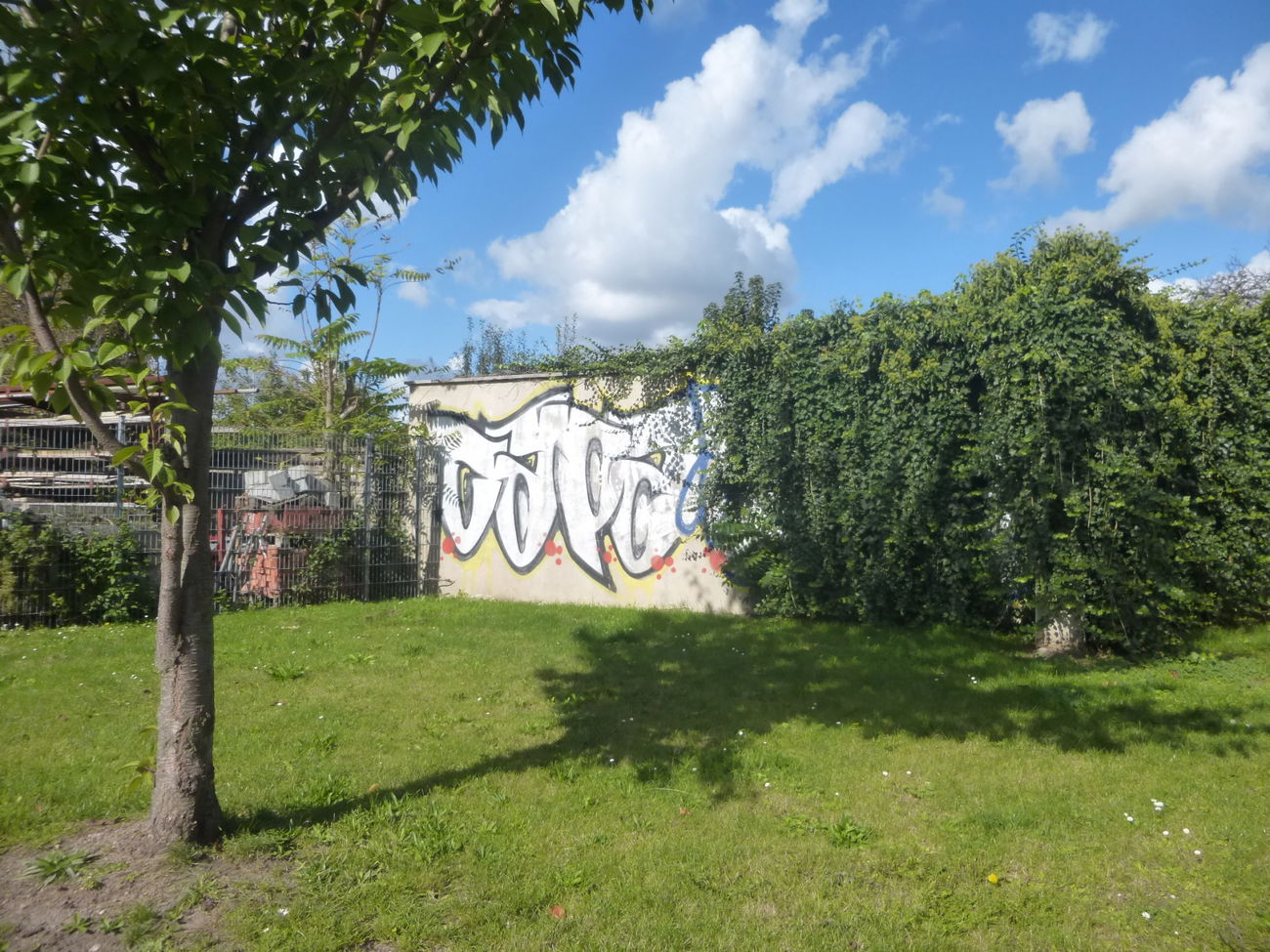 Graffiti Bombing in Magdeburg - Photo by Candyflip - caps, oo