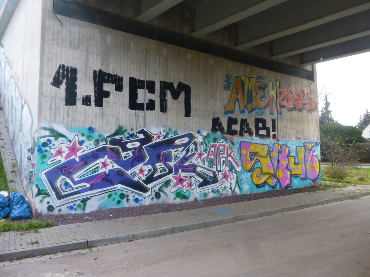 Graffiti Bombing in Magdeburg - Photo by Candyflip - 1fcm, fcm, acab (2015)