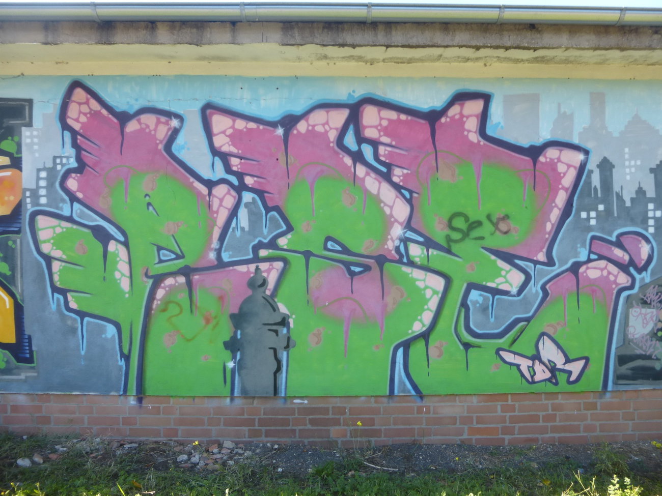 Graffiti Wall in Magdeburg - Photo by Candyflip - pose, süd