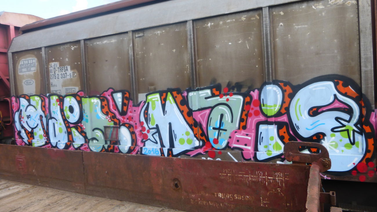 Graffiti Train in Braunschweig - Photo by Candyflip - ?, braunschweig
