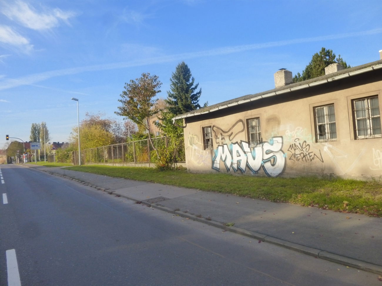 Graffiti Bombing in Magdeburg - Photo by Candyflip - maus, merten, magdeburg