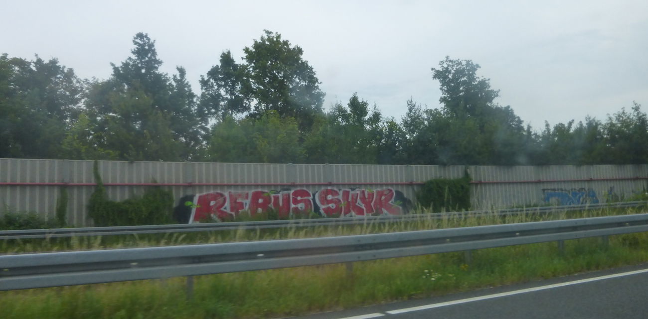Graffiti Bombing in Braunschweig - Photo by Candyflip - rebus, skyr, bf