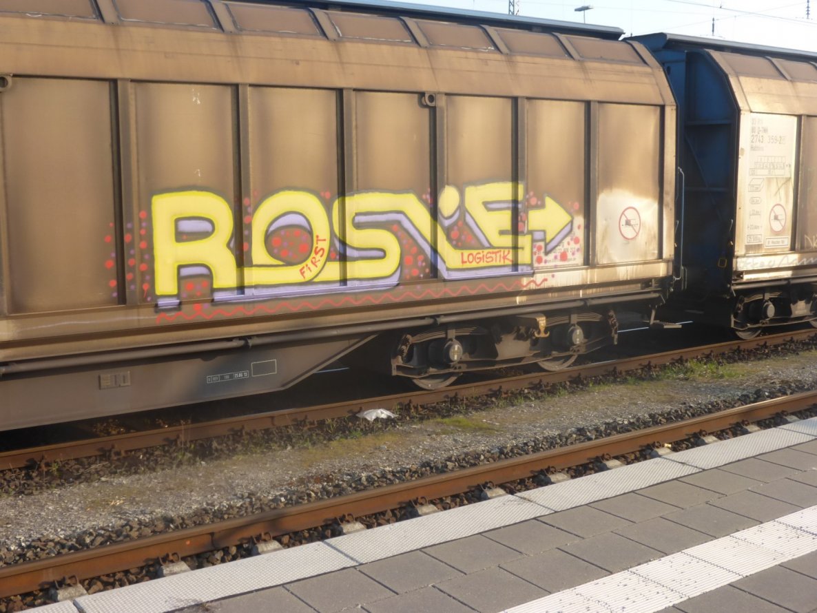 Graffiti Train - Photo by Candyflip - rosie