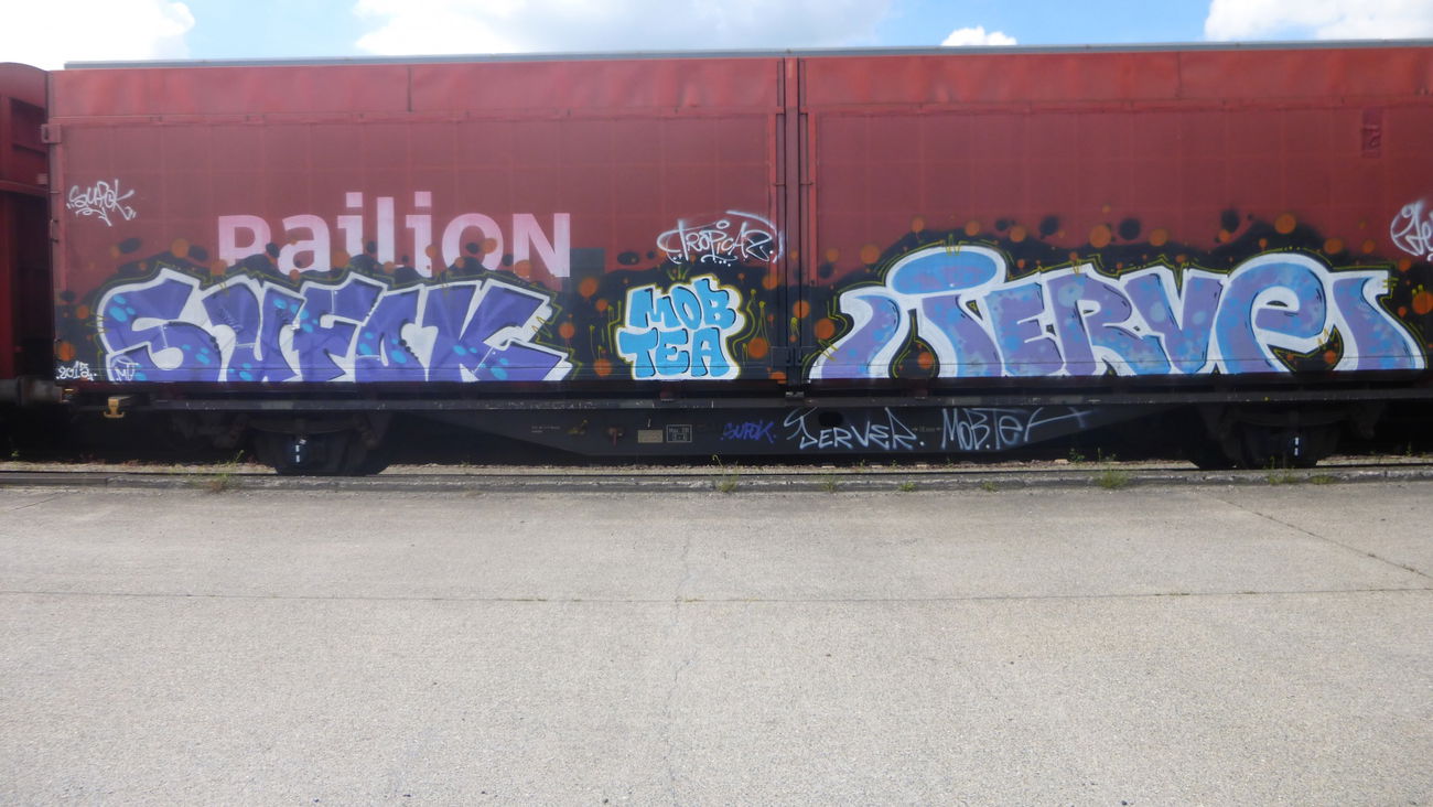 Graffiti Train in Braunschweig - Photo by Candyflip - sufok, jerve, jerver