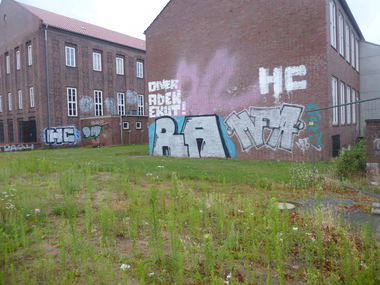 Graffiti Bombing in Braunschweig - Photo by Candyflip - ra, mfa, hc