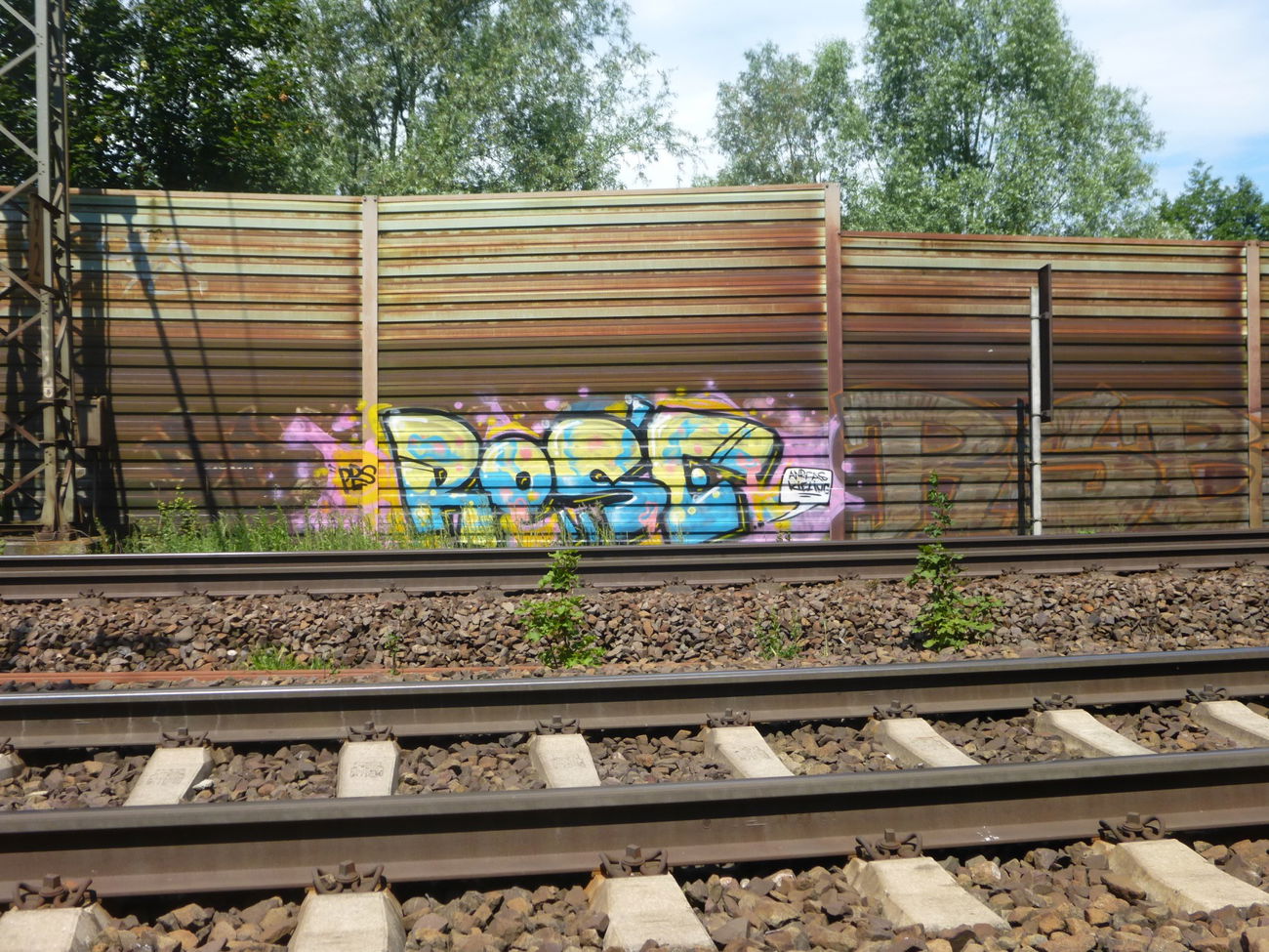 Graffiti Bombing in Deutschland - Photo by Candyflip - rose, prs, braunschweig