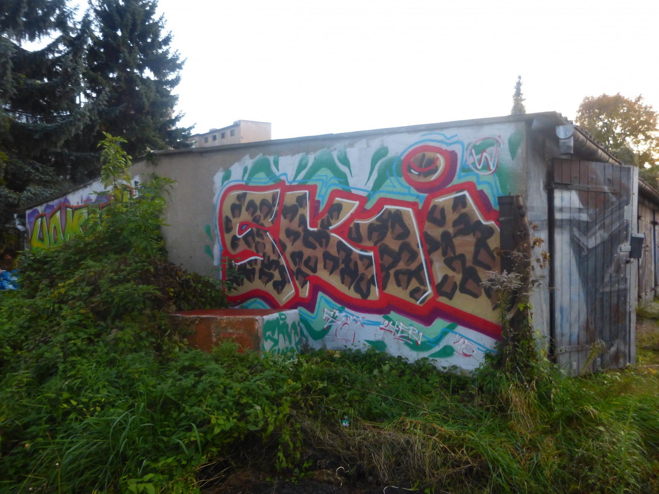 Graffiti Wall in Magdeburg - Photo by Candyflip - skui, 24, 24er (2015)