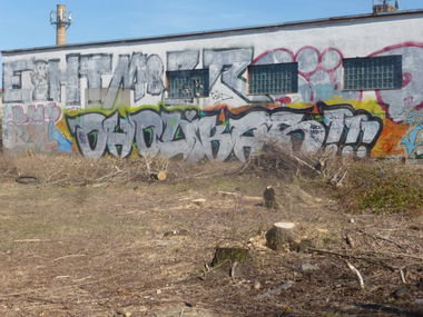 Graffiti Bombing in Magdeburg - Photo by Candyflip - oholikas, ohoh, oo