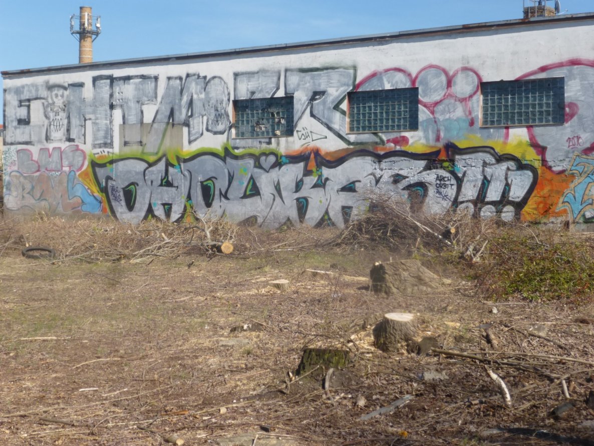 Graffiti Bombing in Magdeburg - Photo by Candyflip - oholikas, ohoh, oo