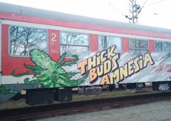Graffiti Train - Photo by Candyflip - tba, braunschweig (2015)