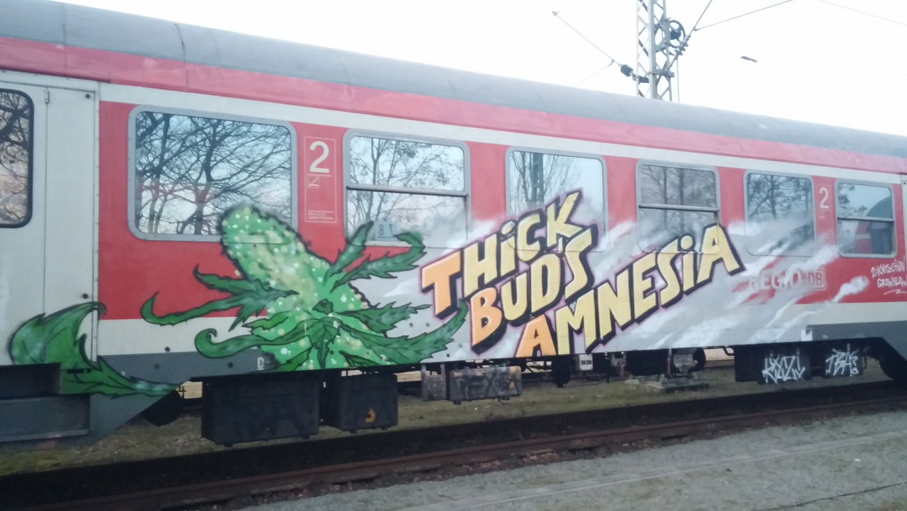Graffiti Train - Photo by Candyflip - tba, braunschweig (2015)