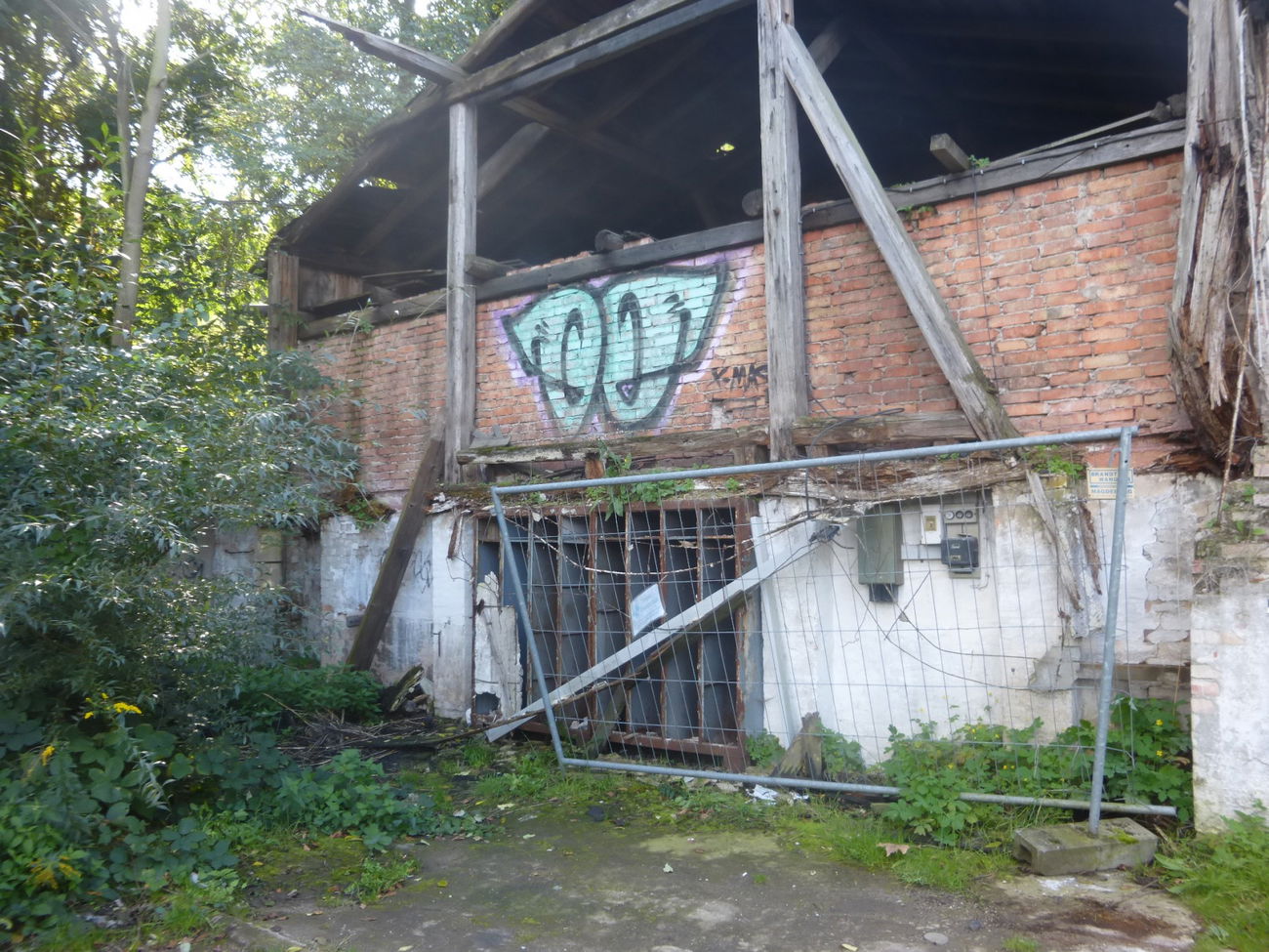 Graffiti Bombing in Magdeburg - Photo by Candyflip - oo, ohoh