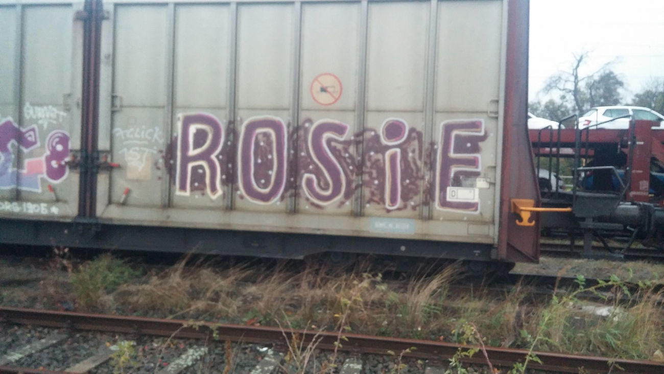 Graffiti Train - Photo by Candyflip