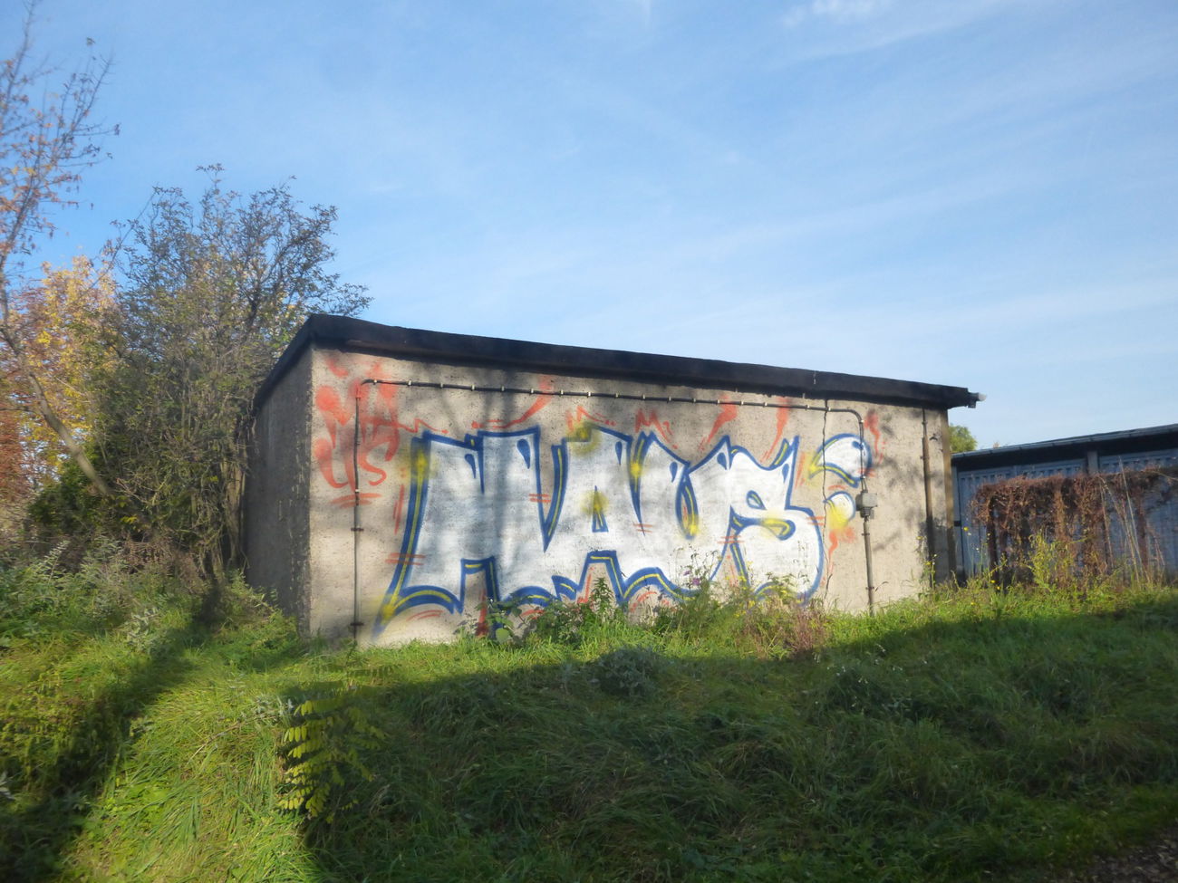Graffiti Bombing in Magdeburg - Photo by Candyflip - maus, magdeburg (2015)