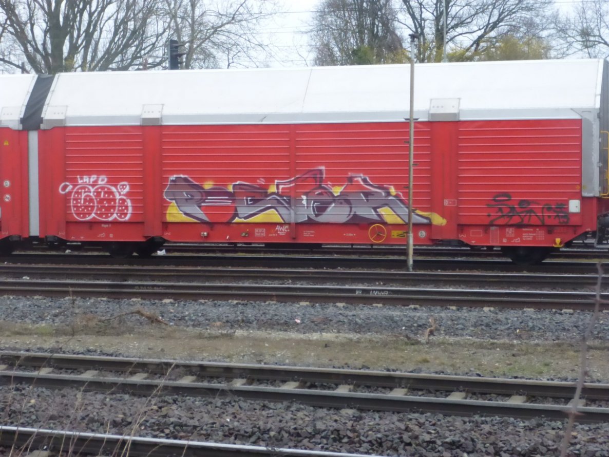 Graffiti Train - Photo by Candyflip - pocter