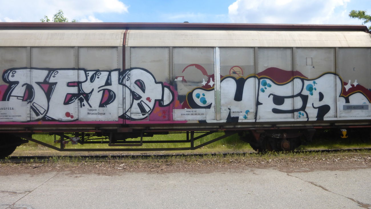 Graffiti Train in Braunschweig - Photo by Candyflip - eko, her, braunschweig