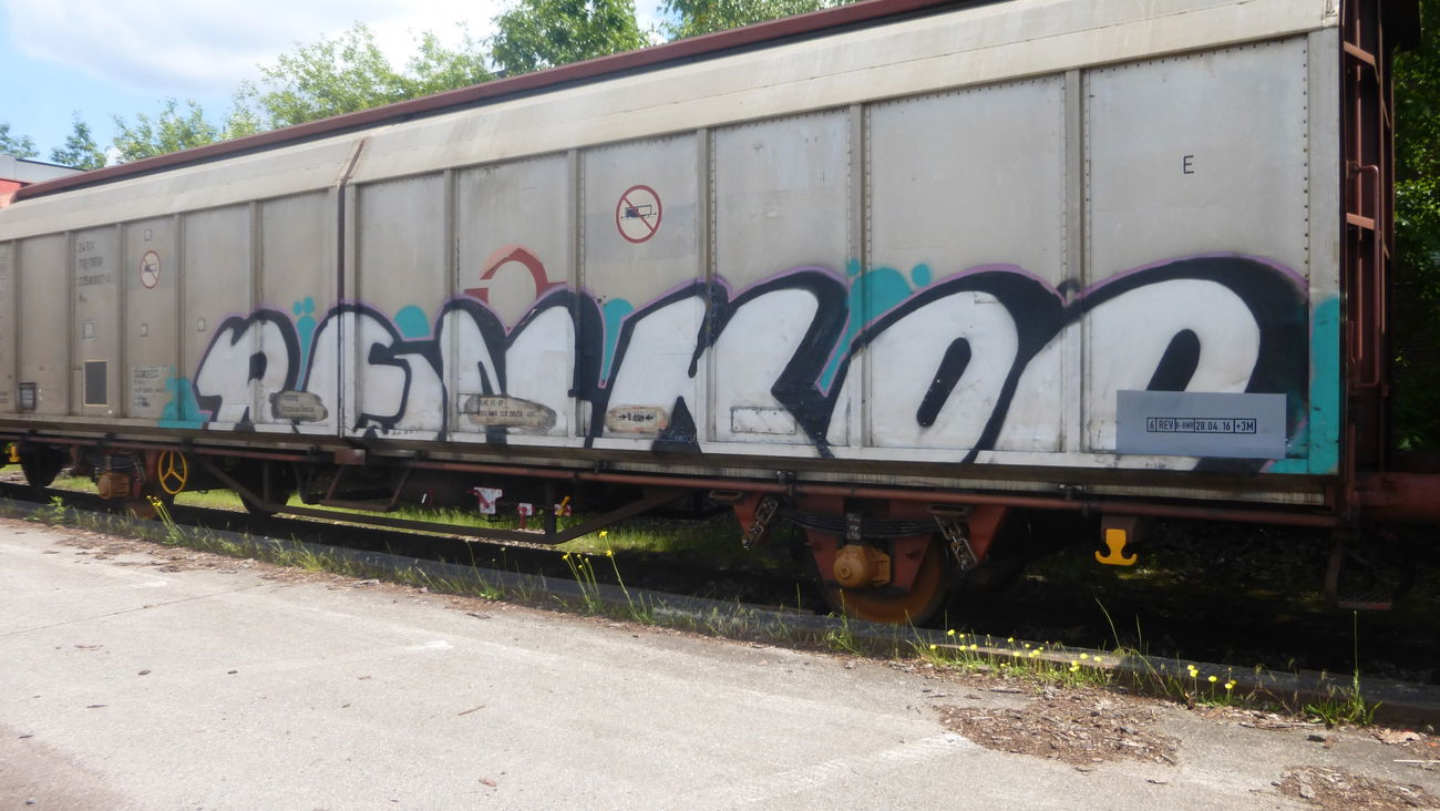 Graffiti Train in Braunschweig - Photo by Candyflip - renkoo, braunschweig