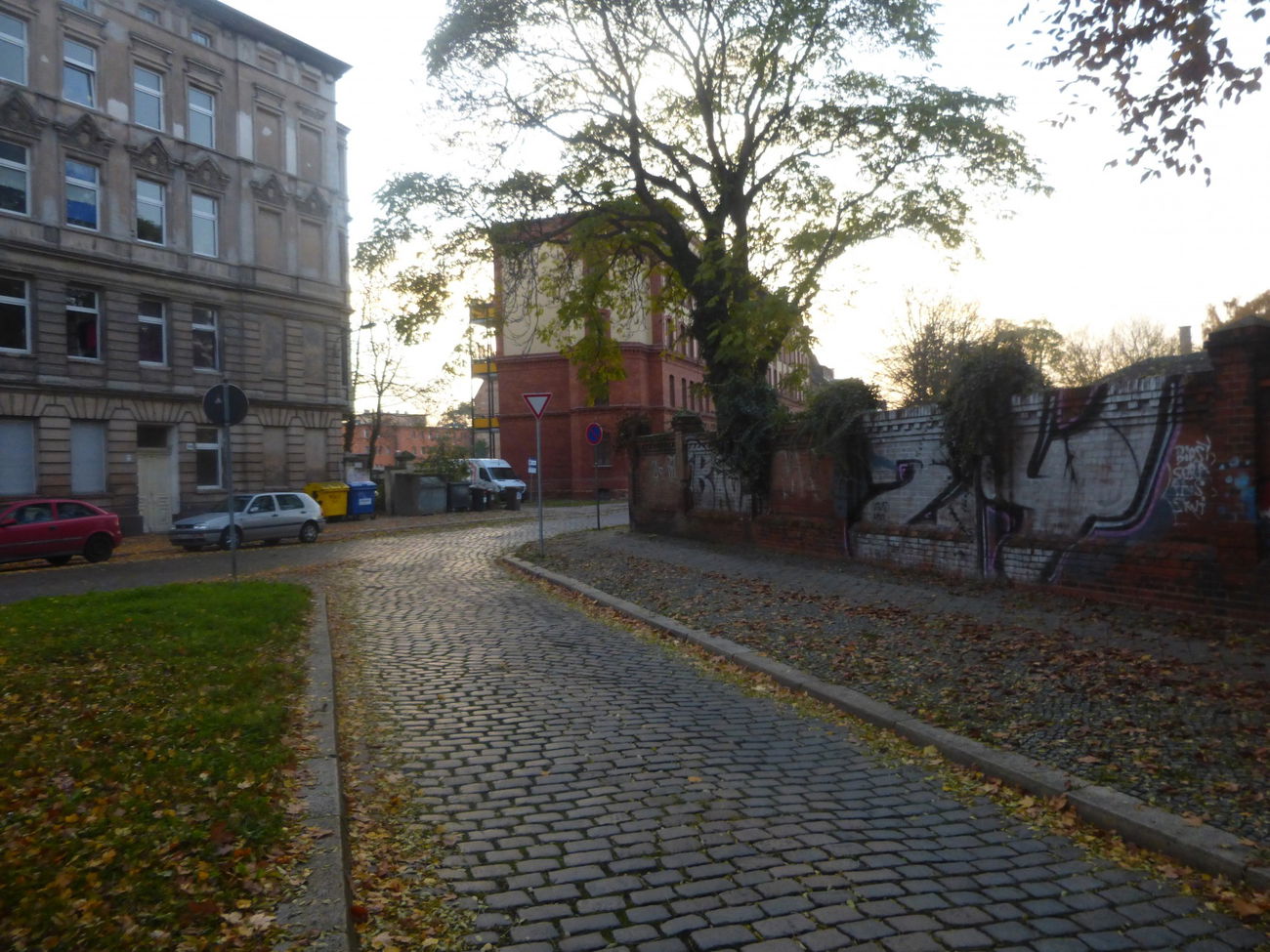 Graffiti Bombing in Magdeburg - Photo by Candyflip - 24, 24er