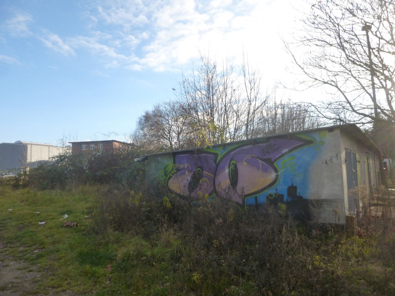 Graffiti Bombing in Magdeburg - Photo by Candyflip - oo, ohoh, atze