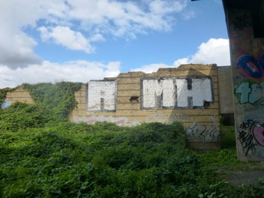 Graffiti Wall in Magdeburg - Photo by Candyflip - rmh