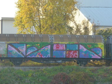 Graffiti Train in Magdeburg - Photo by Candyflip - idol, pm, arf