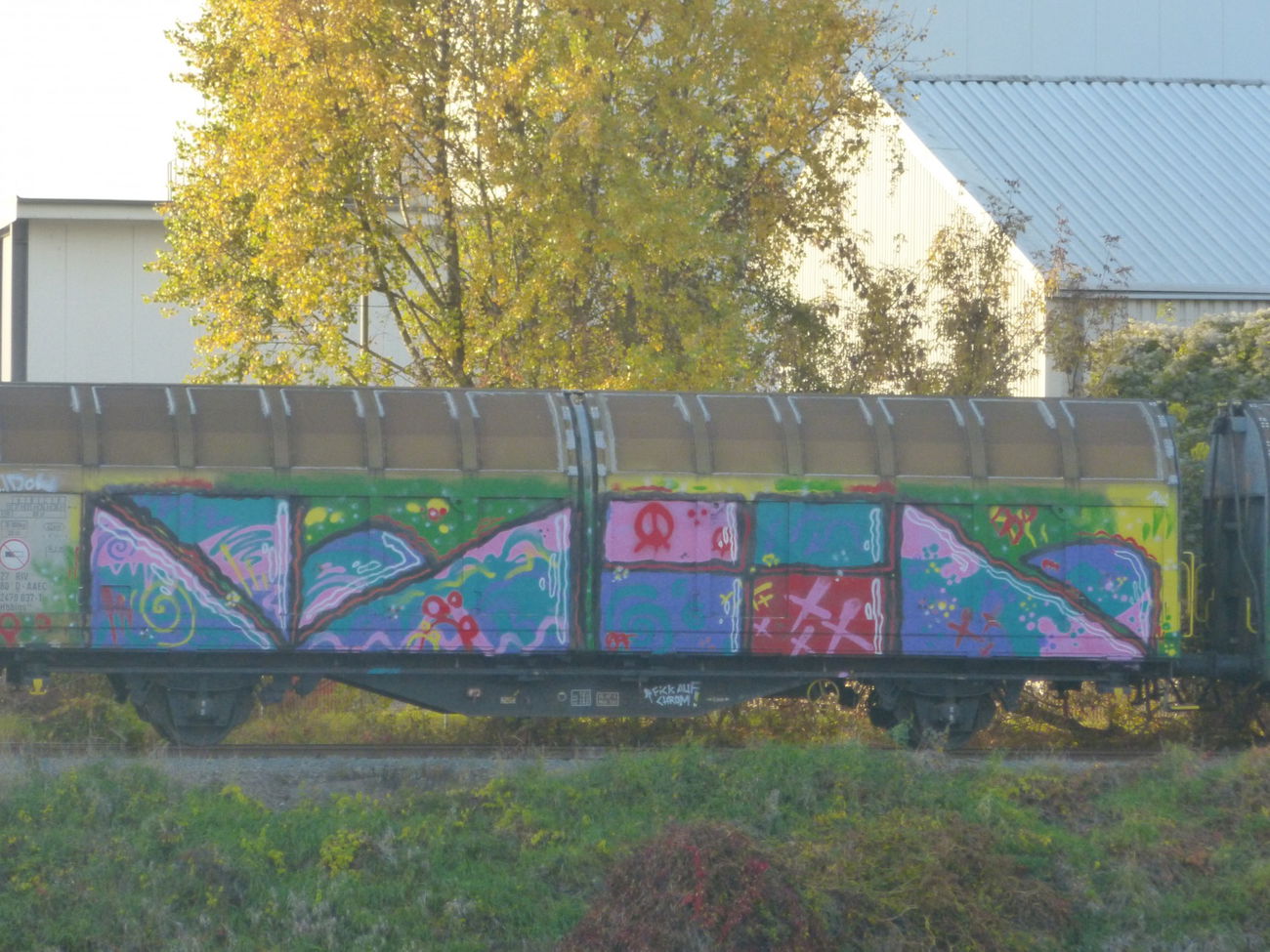 Graffiti Train in Magdeburg - Photo by Candyflip - idol, pm, arf