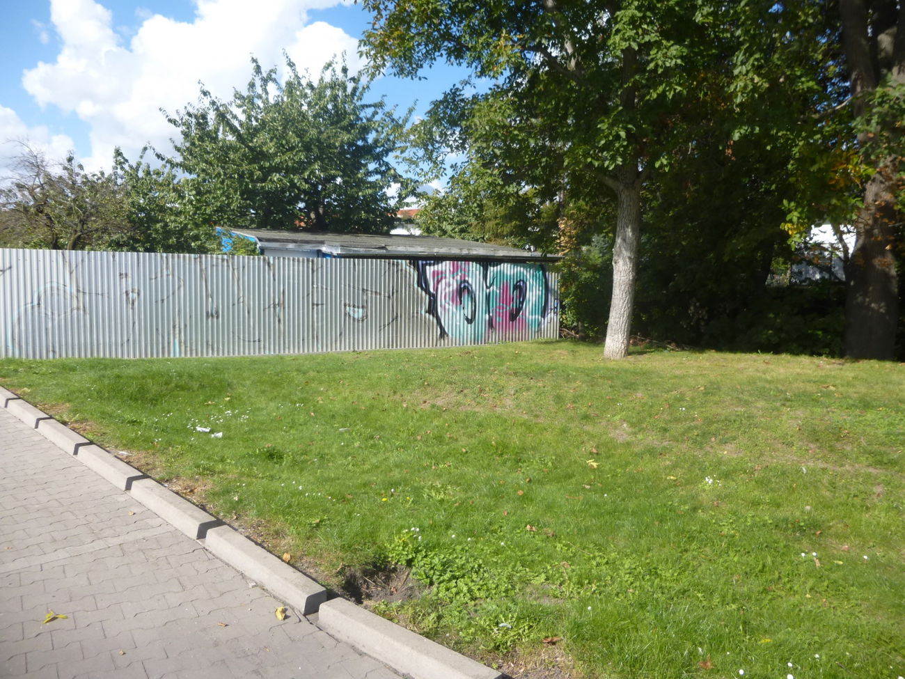 Graffiti Bombing in Magdeburg - Photo by Candyflip - oo, ohoh