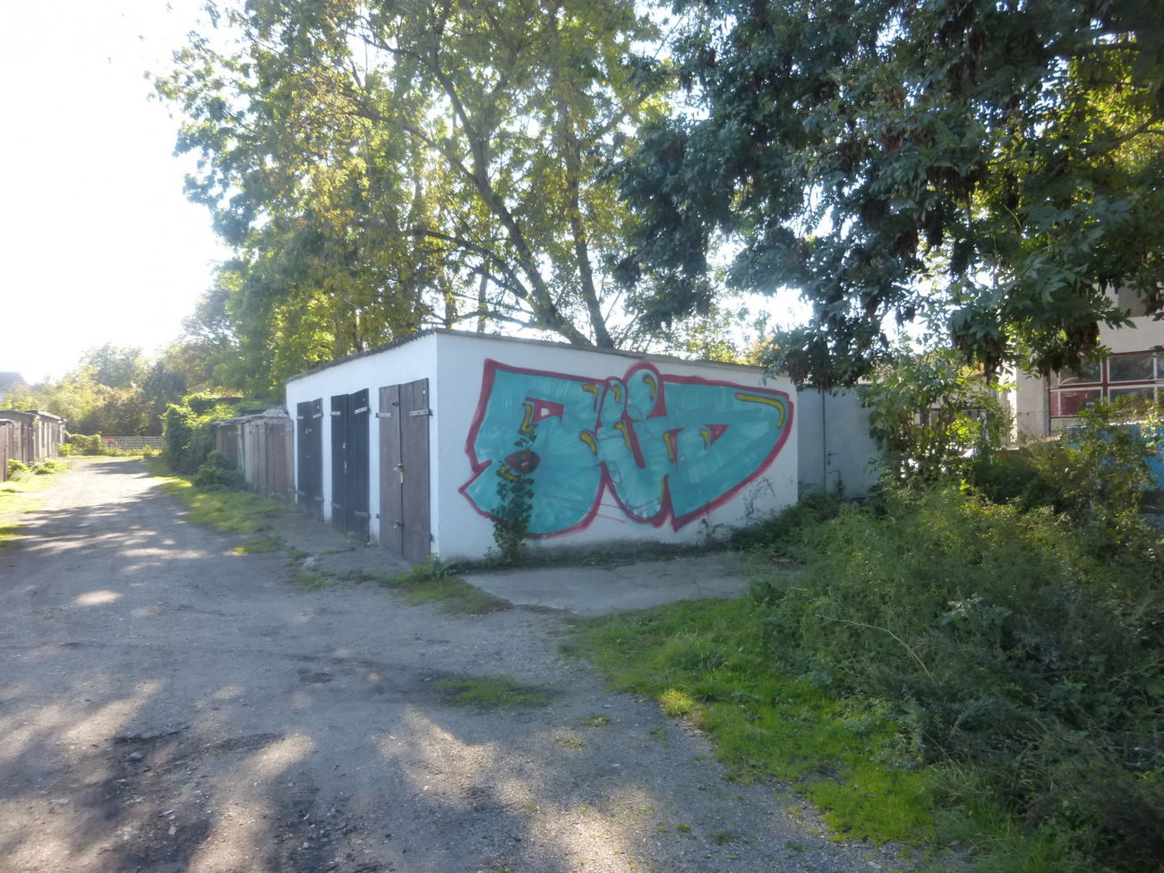 Graffiti Bombing in Magdeburg - Photo by Candyflip - süd, sued