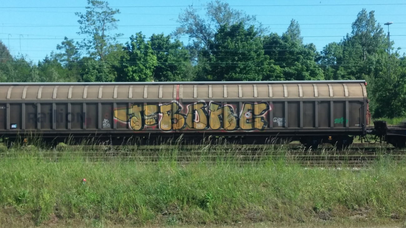 Graffiti Train - Photo by Candyflip