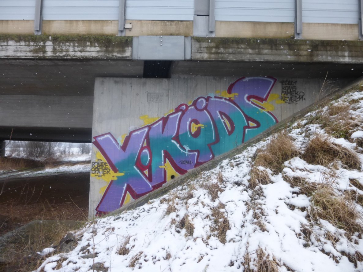 Graffiti Bombing in Landkreis Helmstedt - Photo by Candyflip - köds (2014)