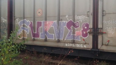 Graffiti Train - Photo by Candyflip