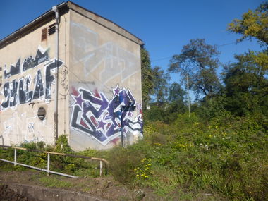 Graffiti Bombing in Magdeburg - Photo by Candyflip - 2fl, zweifel, süd