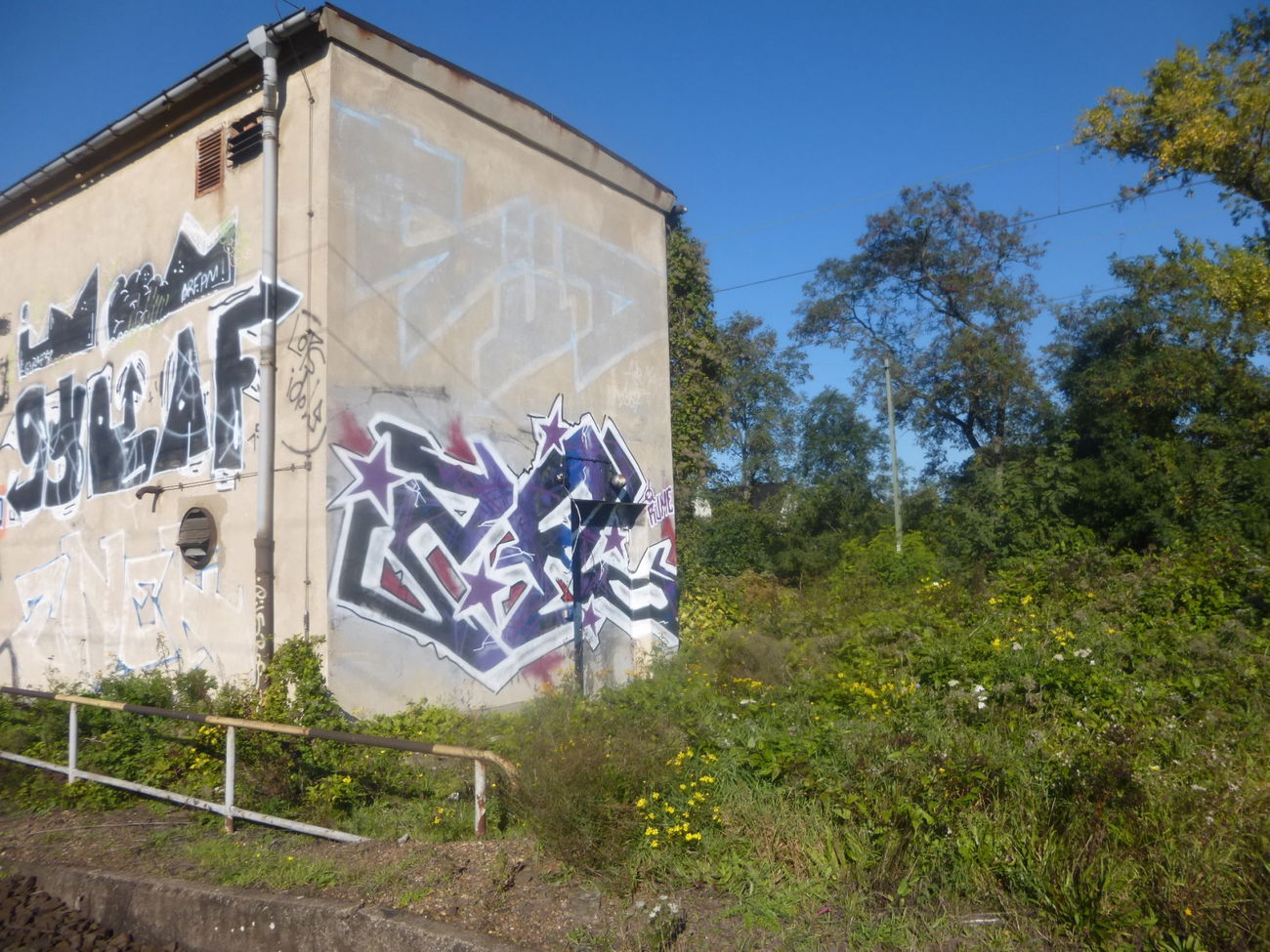 Graffiti Bombing in Magdeburg - Photo by Candyflip - 2fl, zweifel, süd