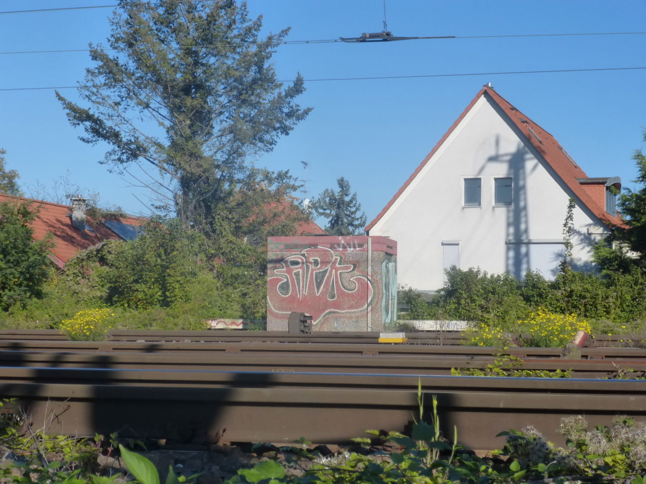 Graffiti Bombing in Magdeburg - Photo by Candyflip - apk