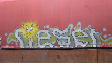 Graffiti Train in Braunschweig - Photo by Candyflip - fieser, braunschweig