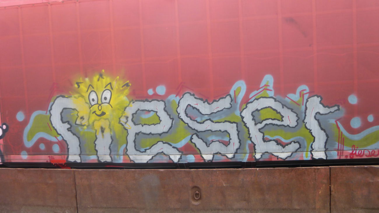 Graffiti Train in Braunschweig - Photo by Candyflip - fieser, braunschweig