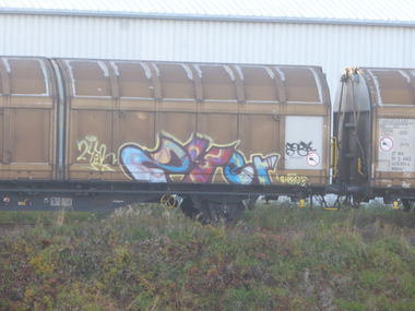 Graffiti Train in Magdeburg - Photo by Candyflip - 24er, 24, magdeburg
