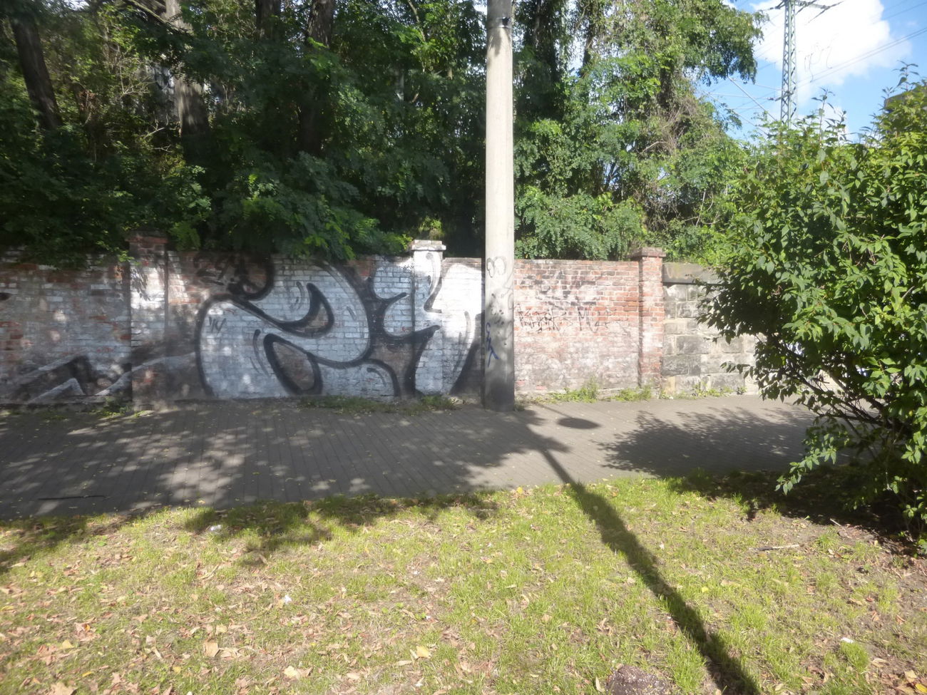 Graffiti Bombing in Magdeburg - Photo by Candyflip - 24, 24er